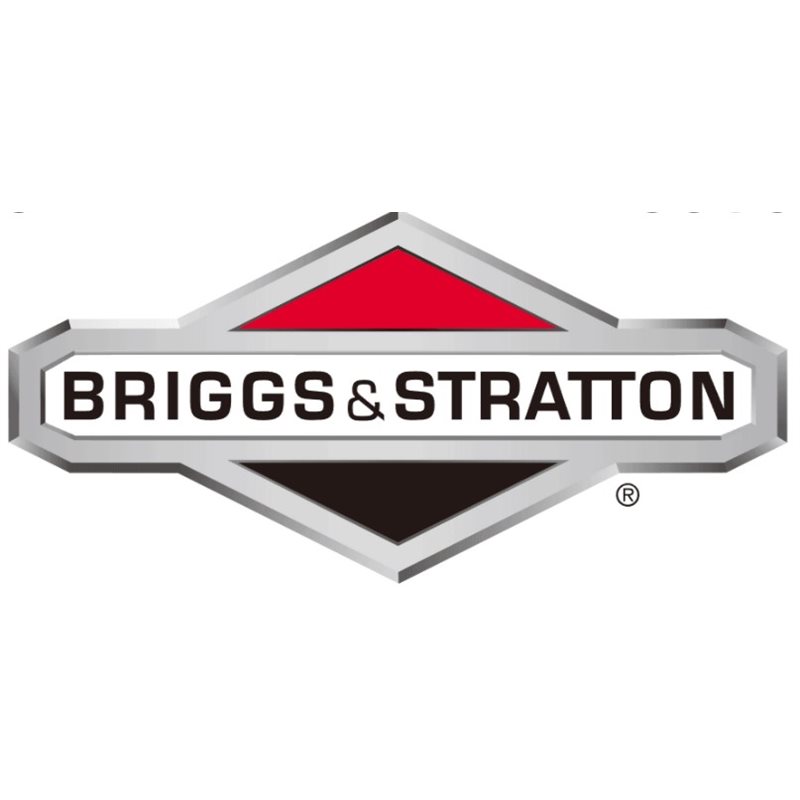 Briggs & stratton